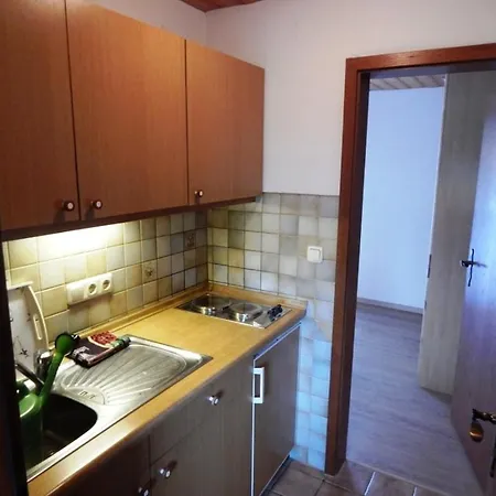 Apartment Schmaus Reit im Winkl